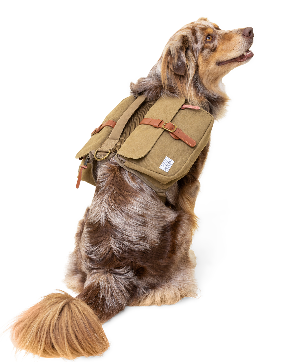 Canvas dog backpack best sale