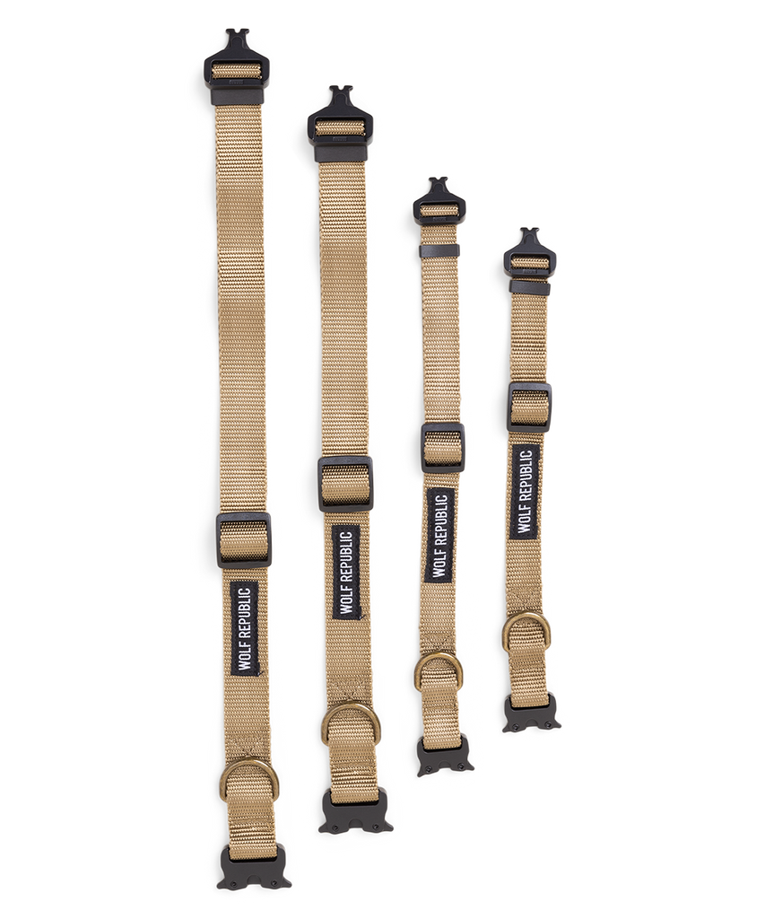 Scout Collar - Black
