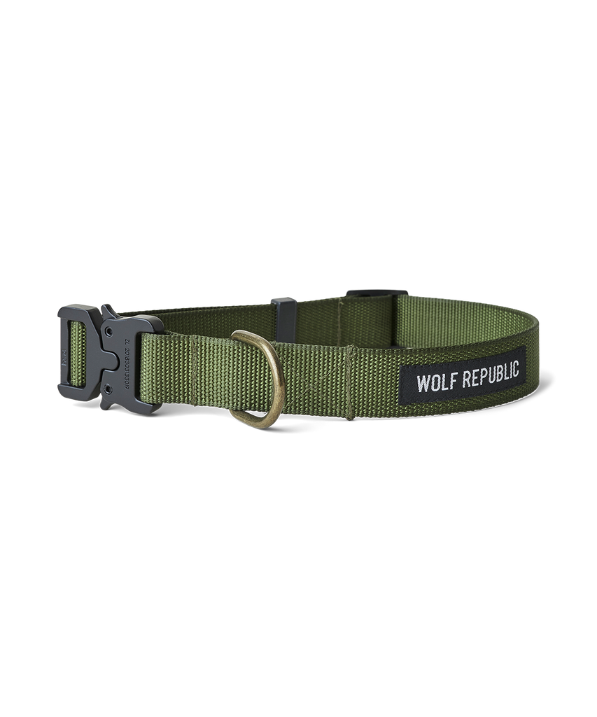 nylon dog collar with metal buckle