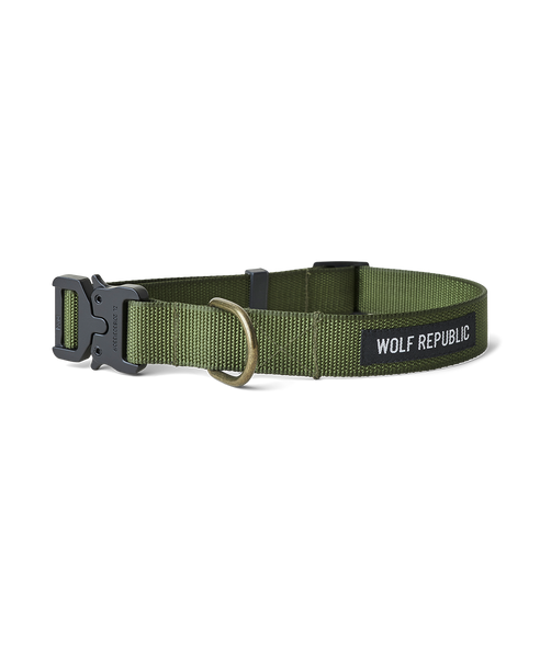 nylon dog collar with metal buckle