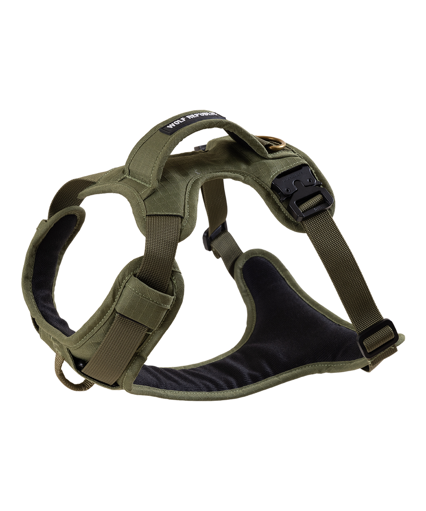 product detail photo of padded dog harness