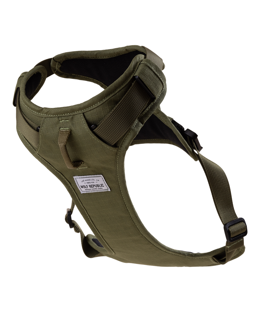 product detail photo of padded dog harness