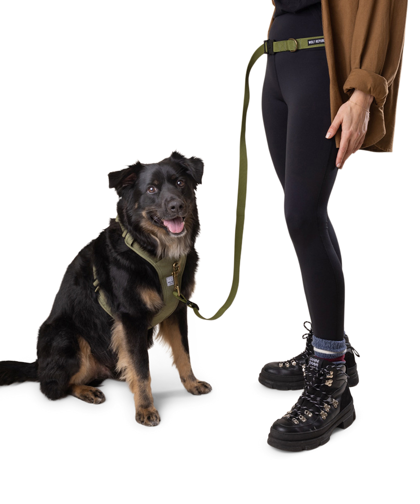 nylon multi-way dog leash hands free dog leash to hand held dog leash