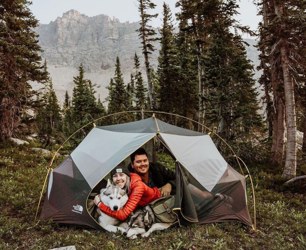 dogs and owners sitting inside tent while camping in the mountains