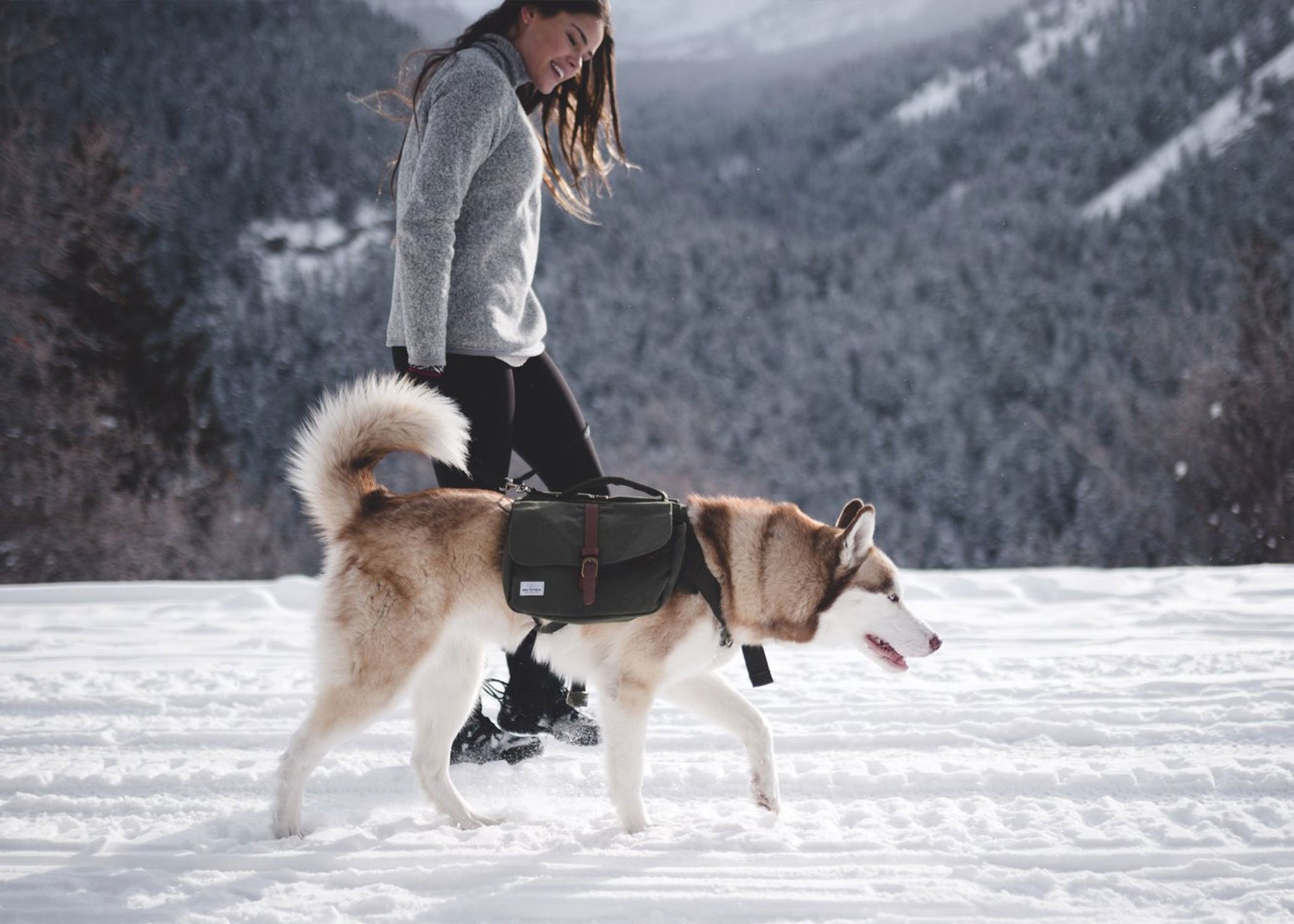 Best Dog Hiking Backpacks of 2022 Wolf Republic