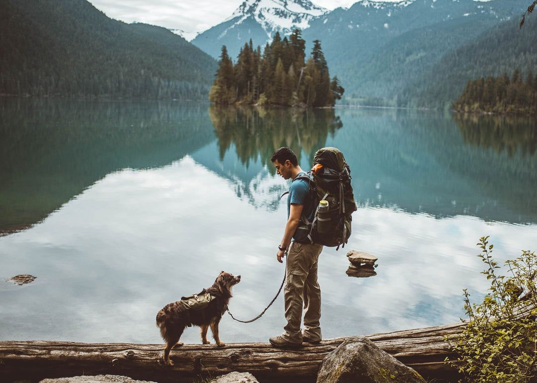 man hiking and camping in the mountains with dog wearing backpack