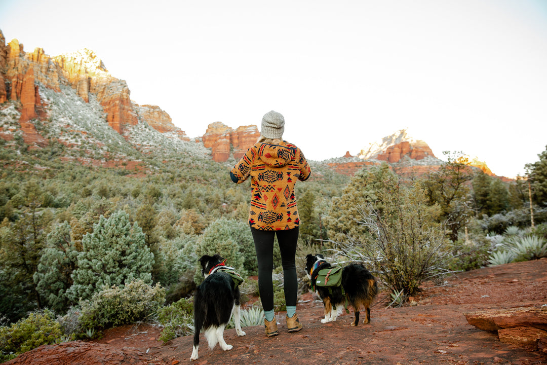 dogs hiking in sedona wearing backpacks