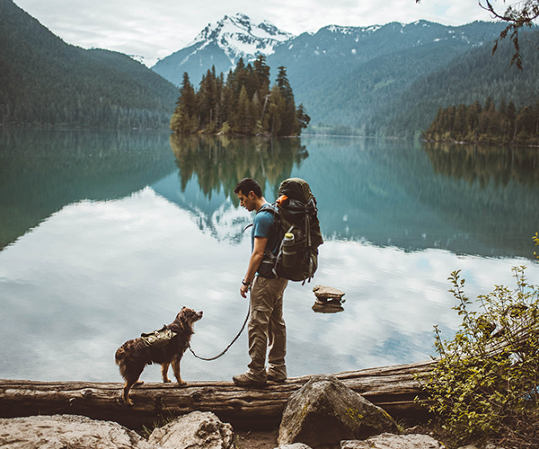 dog and owner in the mountains on a backpacking trip