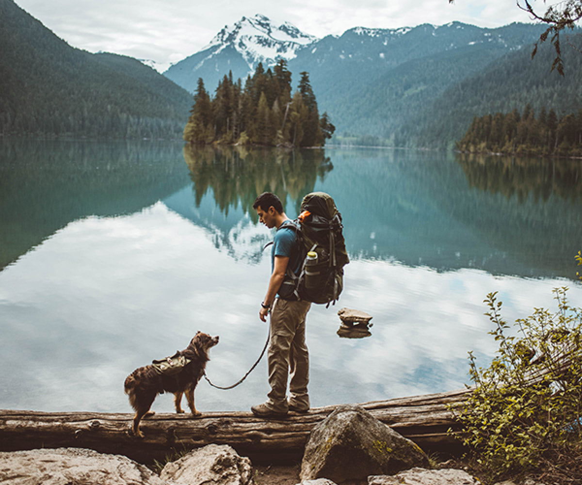 The Ultimate Dog Guide for Hiking & Camping with Dogs Wolf Republic