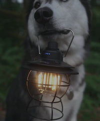 Camp Lantern