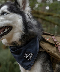 Embroidered Patch - Bone Collector