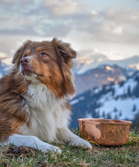 Copper Bowl