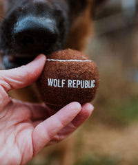 brown tennis ball with logo