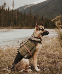 Ranger Pack - Hunter Green