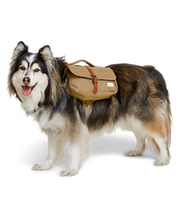 Husky Malamute Dog wearing a tan canvas backpack for hiking