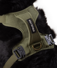 product detail photo of padded dog harness
