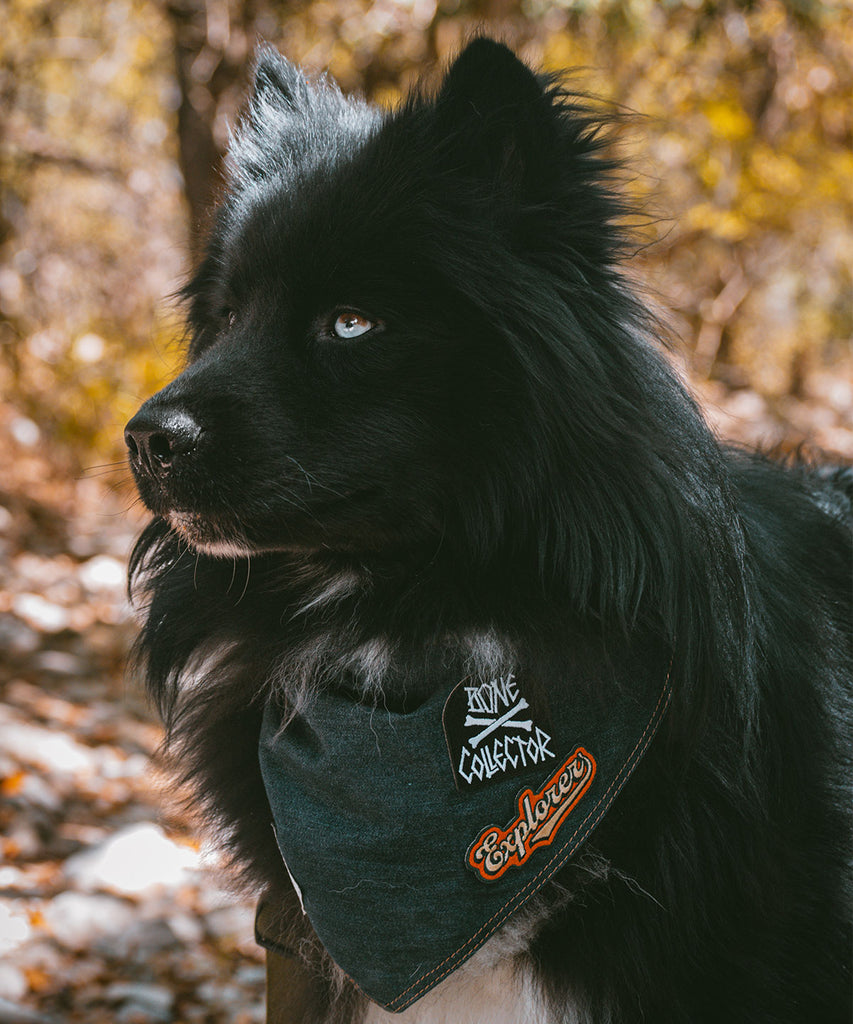Dog bandana with custom patches for dogs
