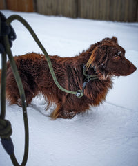 Alpine Slip Collar - Hunter Green