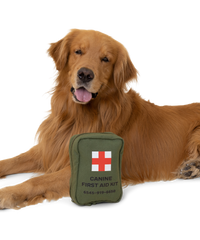 pet first aid kit for adventure dogs