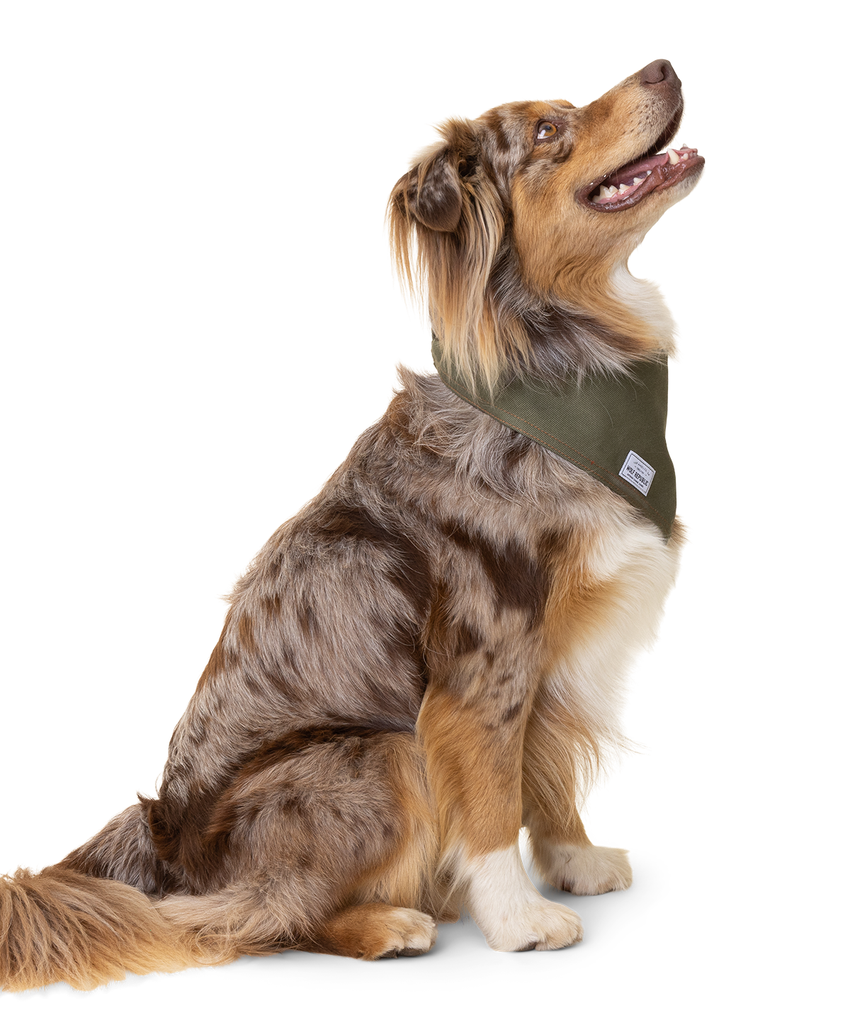 Cool Bandanas for Dogs Wolf Republic