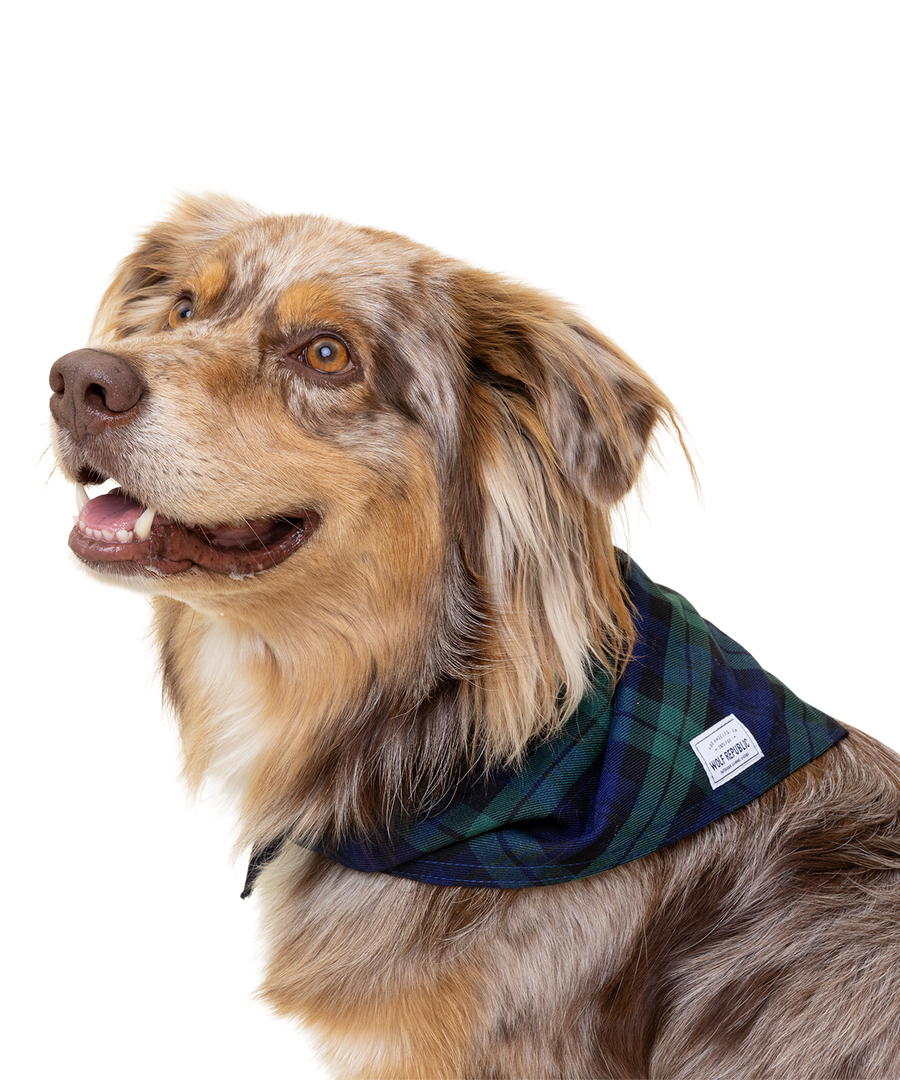 Holiday Plaid Bandanas for Dogs Wolf Republic