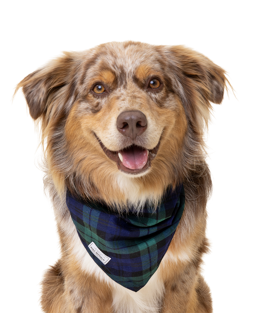 Dog Bandana Bundle Wolf Republic