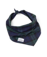 a draped navy and dark green plaid bandana for dogs 