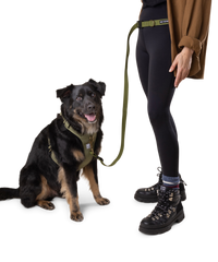 nylon multi-way dog leash hands free dog leash to hand held dog leash
